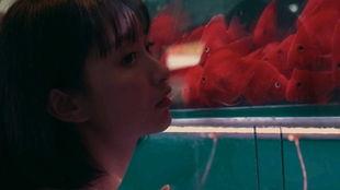 少女吃瓜日记免费观看,免费畅享娱乐圈幕后故事