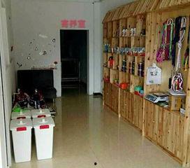 石家庄宠物店爆料视频,揭秘宠物行业背后真相